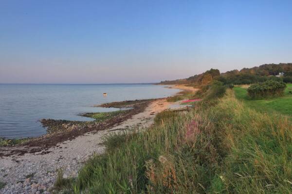 5 øer i Danmark, som du ikke må gå glip af denne sommer!