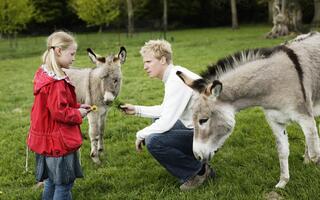 Blåvand Zoo